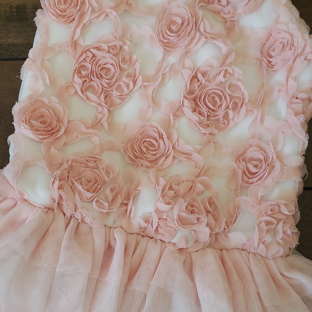 Beautiful 3T dress bundle - Picture 3 of 6